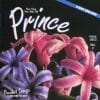 Karaoke Korner - Hits of Prince Vol. 2