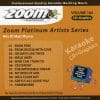 Karaoke Korner - Zoom Platinum Artists - Volume 104