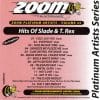 Karaoke Korner - Zoom Platinum Artists Vol 25