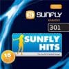 Karaoke Korner - Sunfly Karaoke Hits Vol 301