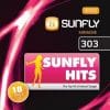 Karaoke Korner - Sunfly Karaoke Hits Vol 303