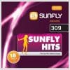 Karaoke Korner - Sunfly Karaoke Hits Vol 309