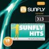 Karaoke Korner - Sunfly Karaoke Hits Vol 313