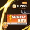 Karaoke Korner - Sunfly Karaoke Hits Vol 316