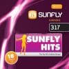 Karaoke Korner - Sunfly Karaoke Hits Vol 317
