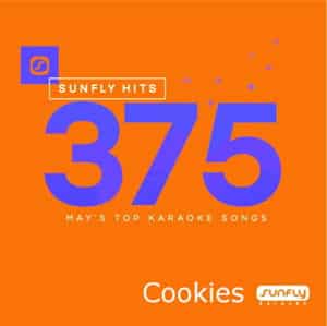 sf375 – Sunfly Karaoke Hits Vol 375